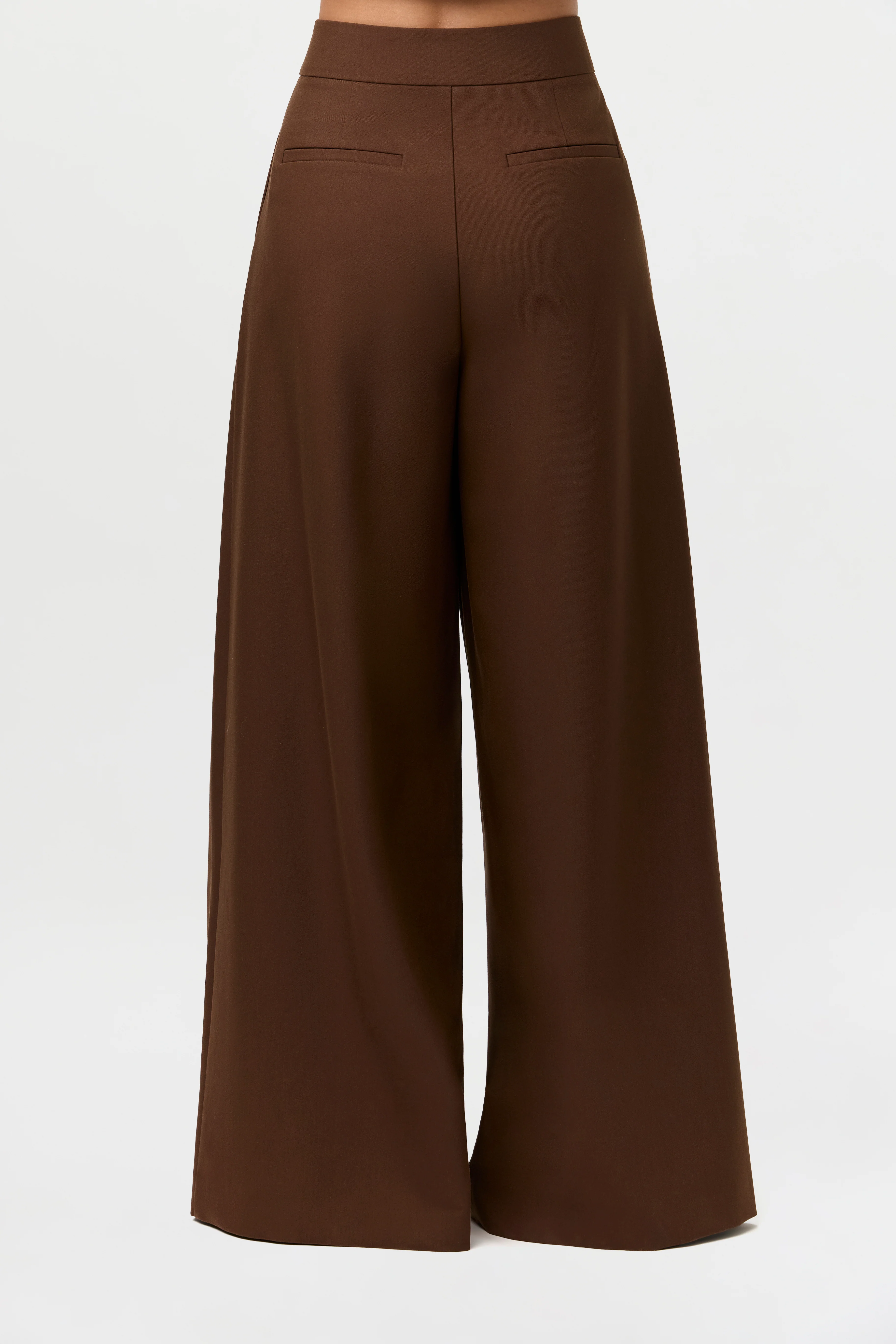 Suiting Pleated Wide-Leg Pant - Image 5